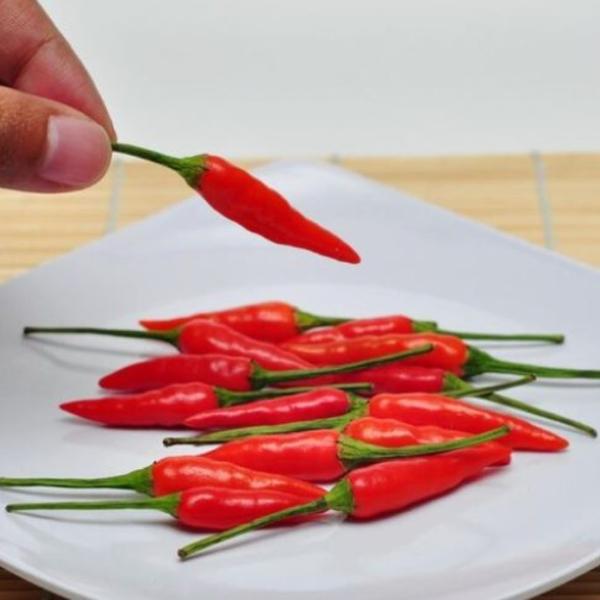 Mangiare troppo peperoncino aumenta il rischio di queste malattie