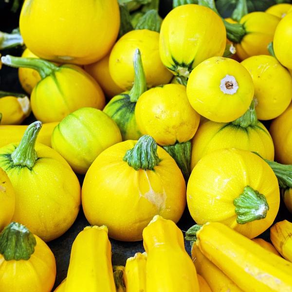 A tutto colore: le ricette con le zucchine gialle