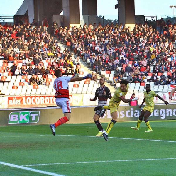 Bari calcio, storia: dal fallimento alla D fino al possibile ritorno in A