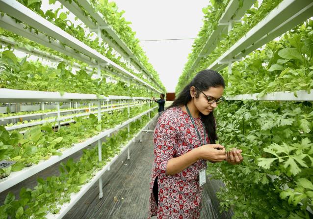 Innovazione in agricoltura