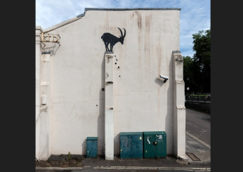 Qual è il significato della capra domestica di Banksy a Londra? Lo street artist colpisce ancora con un nuovo murales | FOTO