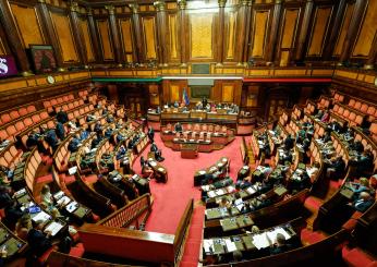 Il Senato vota il Dl rigassificatori: approvato con 97 “sì”