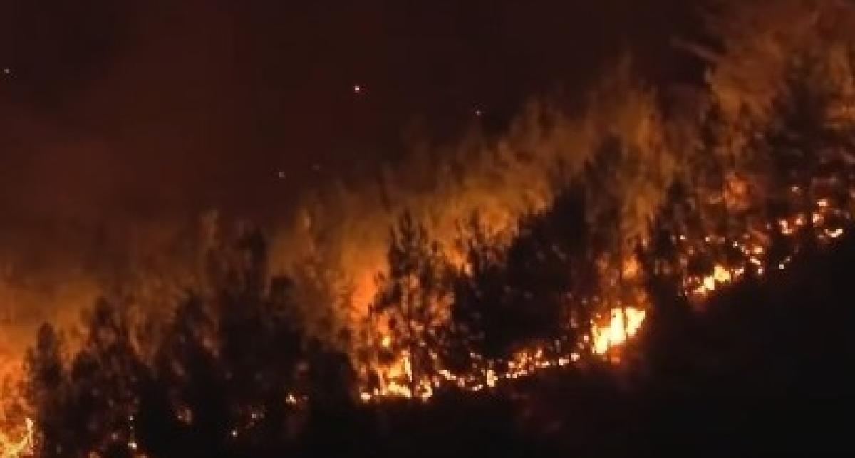 Incendi in Turchia, le fiamme raggiungono le abitazioni: in pericolo monumenti commemorativi dei caduti della Prima guerra mondiale | VIDEO