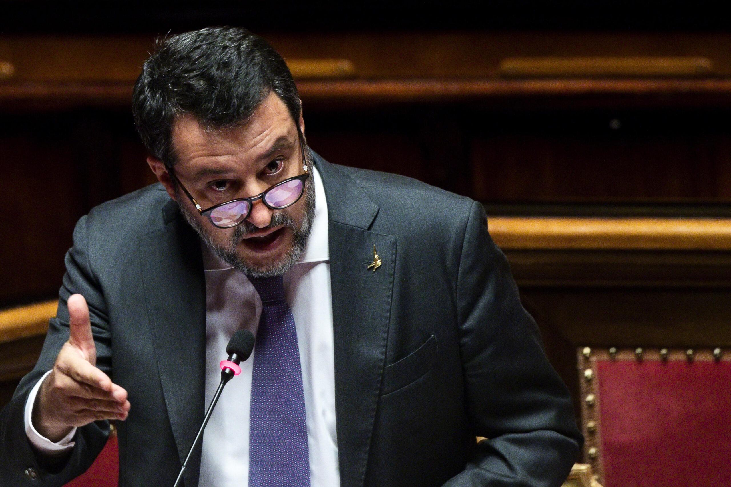 DDL Sicurezza Stradale, Matteo Salvini: “Sospensione patente per chi abbandona gli animali per strada”