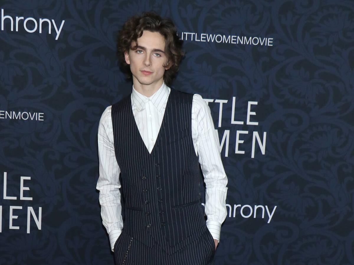 Timothée Chalamet torna in un film di Luca Guadagnino: fuori il tra…