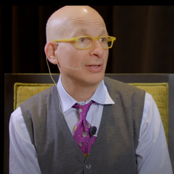 Che cosa ha teorizzato Seth Godin? L’importanza della straordinarietà del prodotto per fare la differenza