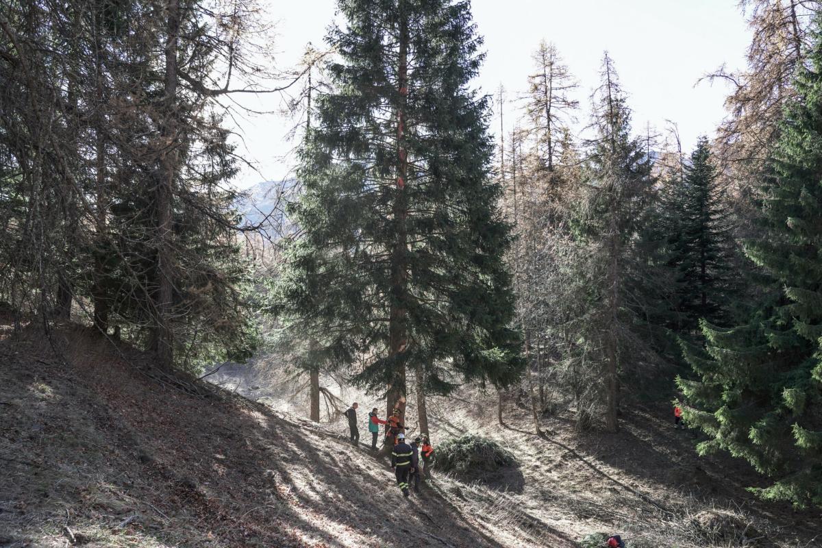 Grosseto, vasto incendio a Roccalbegna: le fiamme hanno investito 26 ettari di bosco