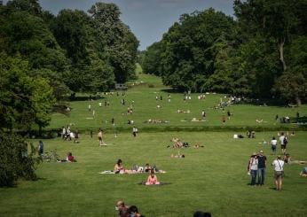 Monza, pitone liberato nel parco di Villa Reale: indagini in corso