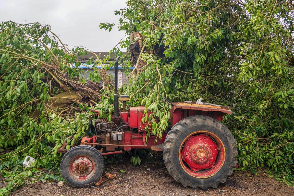 Roma, incidente sul lavoro dopo che si ribalta il trattore: agricol…