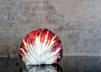 I nove benefici del radicchio per il corpo: calorie e consumo