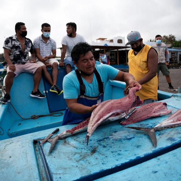 Isole Galapagos, ampliata la riserva marina