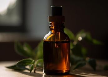 Quali benefici l’olio essenziale di salvia: ci sono controindicazioni?