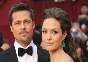 Brad Pitt e Angelina Jolie in tribunale per la loro azienda vinicola francese da 500 milioni di dollari