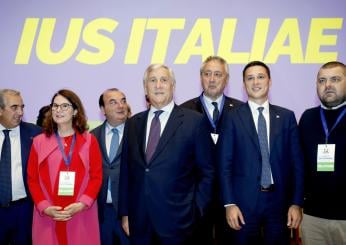 In cosa consiste lo ius Italiae, la nuova proposta di legge di Forza Italia per la cittadinanza