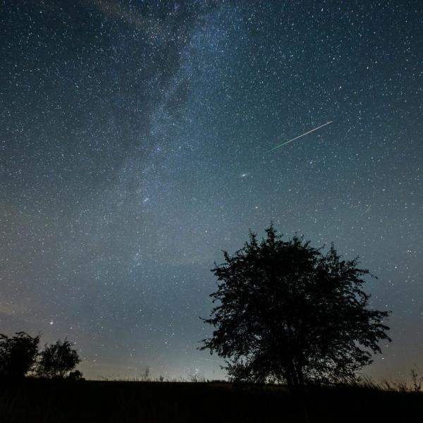 Cometa verde Nishimura: quando, dove e come vederla in Italia