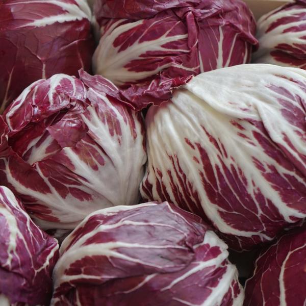 Come cucinare il radicchio in padella