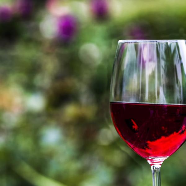 Merano Wine Festival 2024: date, orari, biglietti, prezzi e programma