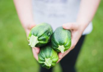 A tutto gusto! Il flan di zucchine e ricotta