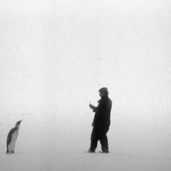 Quando esce “Bestiari, Erbari, Lapidari” di Massimo D’Anolfi e Martina Parenti? Trama e durata del film al Festival di Venezia 2024