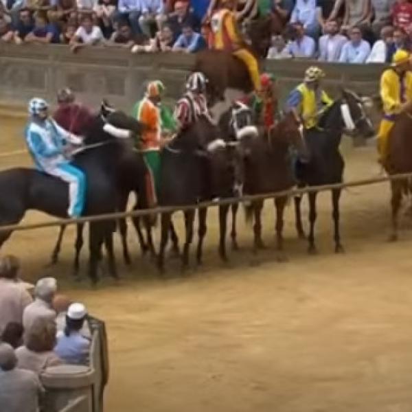 Chi ha vinto il Palio di Siena del 16 agosto 2023? Contrada, fantino e cavallo vincitori