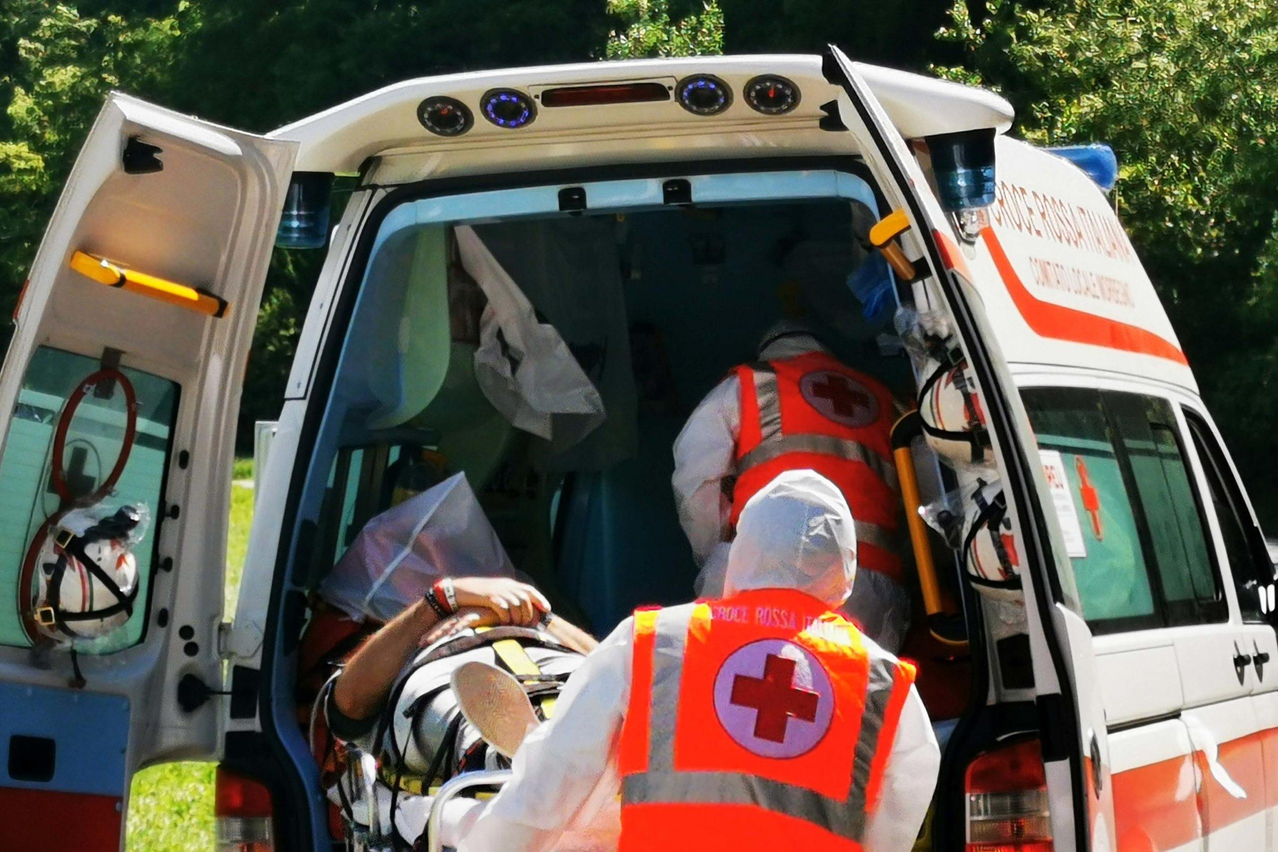 Mandragora venduta al posto degli spinaci: ricoverate 8 persone per intossicazione