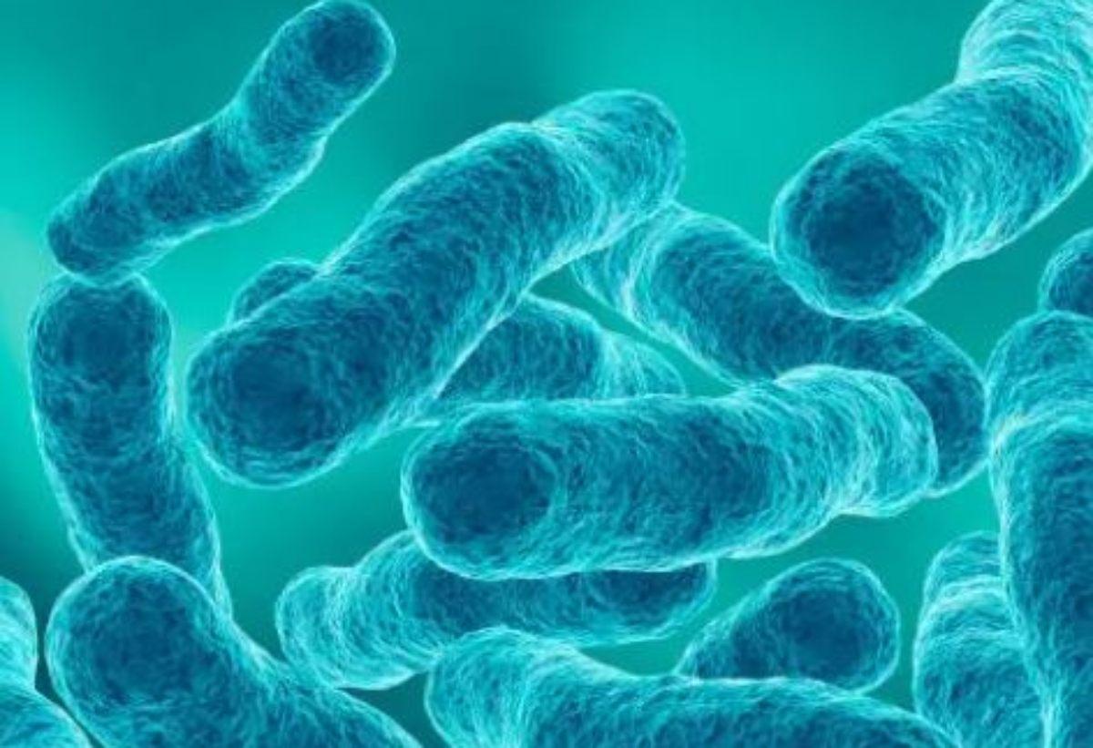 Allarme legionella in Sardegna, morta una donna, cosa sta accadendo