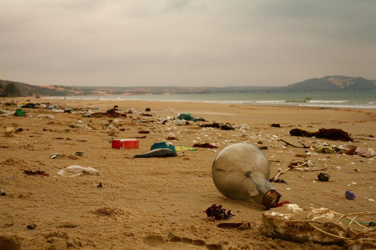 Cos’è #EuBeachCleanup e quando ci sarà nel 2024?