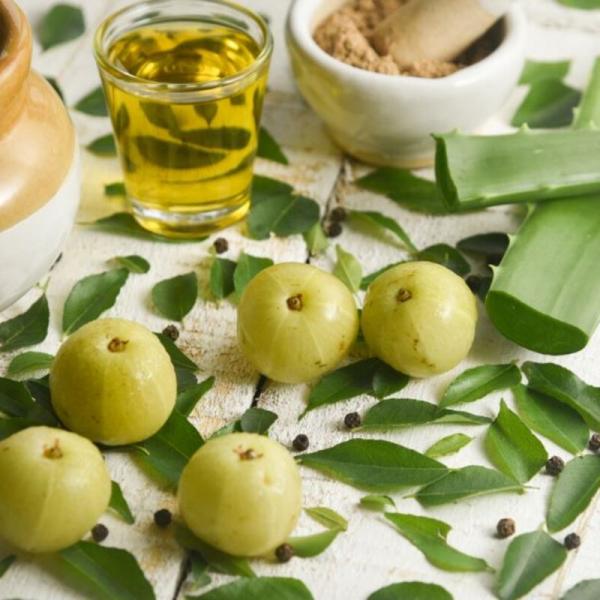 Olio di neem: l’alleato per pelle e capelli