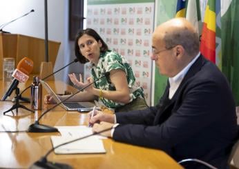 Fondazione PD, nuove nomine e vecchi rancori. Zingaretti presidente per non intralciare la segretaria Schlein?