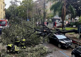 Vento forte a Napoli: spezzata Croce a Cariati e altri danni, alber…