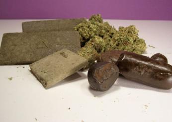 Quali sono gli effetti del consumo di hashish e qual è la differenza con la marijuana