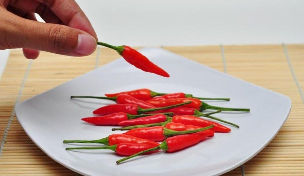 Mangiare troppo peperoncino aumenta il rischio di queste malattie