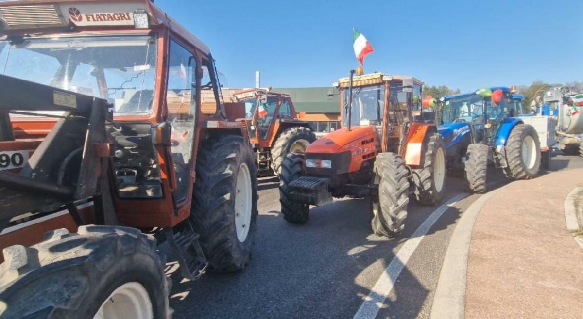 Proteste agricoltori, le iniziative di Alternativa Popolare contro la crisi del settore. Ronza (coord. Cuneo): “Agire sulla filiera e parlare con gli operatori per risultati concreti”