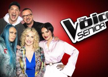 Chi ha vinto The Voice Senior 2024? Il riassunto della finale