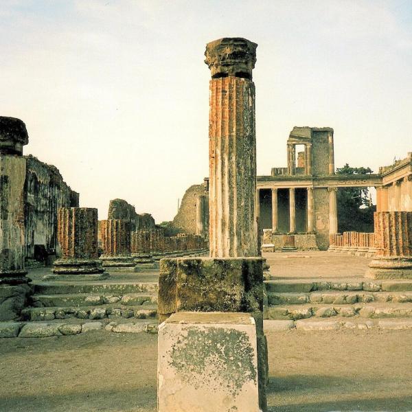 Pompei tartaruga: ritrovata intatta con il suo uovo dopo duemila anni