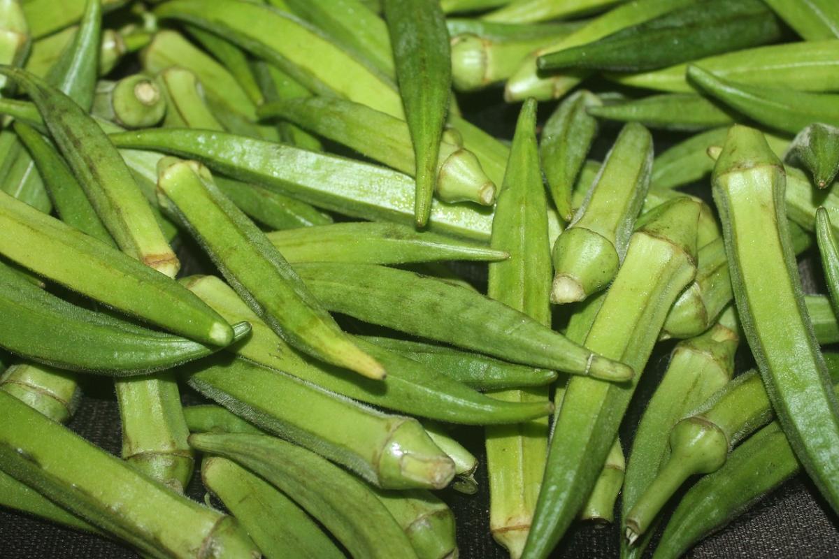 Che cos’è l’okra: ricette e consigli