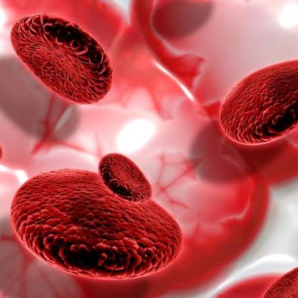 Quali sono i sintomi dell’anemia perniciosa, come si diagnostica e qual è la cura