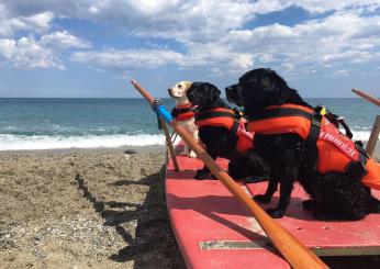 Cani bagnino: salvate 5 persone in una sola giornata