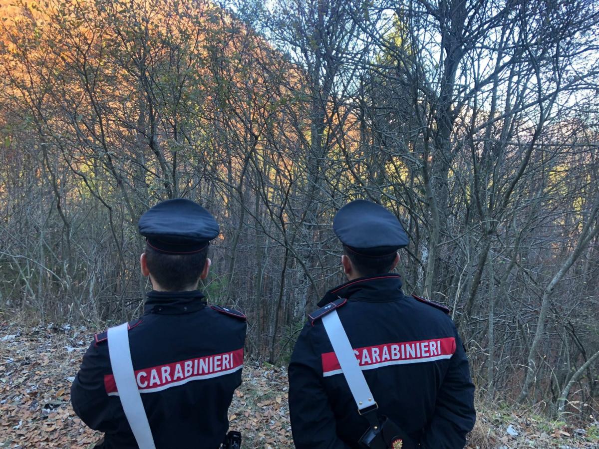 Torino, trovato morto un professore del liceo di Tortona