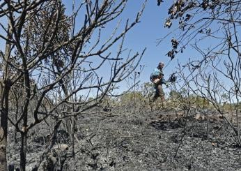 Caldo record in Colombia, incendi boschivi consumano un’ampia fascia dell’ecosistema