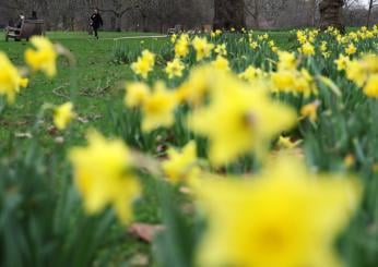 Quando inizia la primavera 2024?