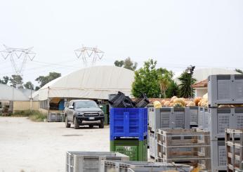 Bracciante morto a Latina, titolare dell’azienda: “Avevo avvisato Satnam di non avvicinarsi al macchinario”. I soccorritori raccontano la tragedia