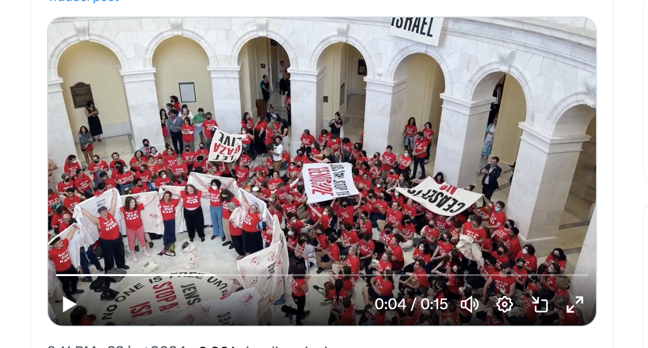 Washington, protesta a Capitol Hill: cosa chiedono gli attivisti di Jewish Voice For Peace? | VIDEO