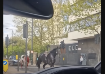 Panico a Londra, cavalli dell’esercito in fuga per le strade del centro: almeno quattro feriti | VIDEO