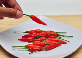 Mangiare troppo peperoncino aumenta il rischio di queste malattie