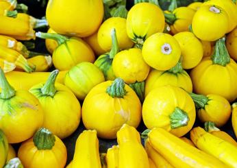 A tutto colore: le ricette con le zucchine gialle