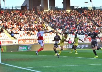 Bari calcio, storia: dal fallimento alla D fino al possibile ritorno in A