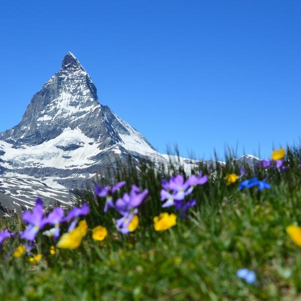 Dove si trova la baita dove è stato girato il film di Heidi?