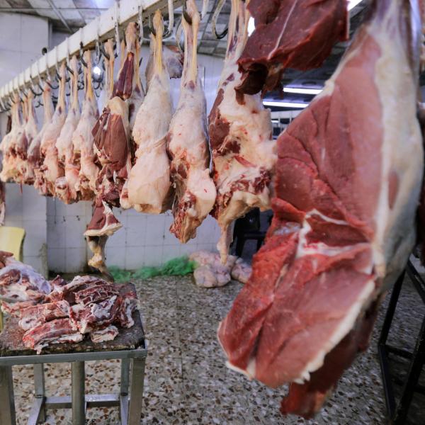 Firenze, carcasse di animale appese al balcone, la protesta degli animalisti: “Inquietante”