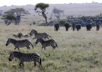 Incendio in un villaggio nel Kenya, turisti italiani in fuga